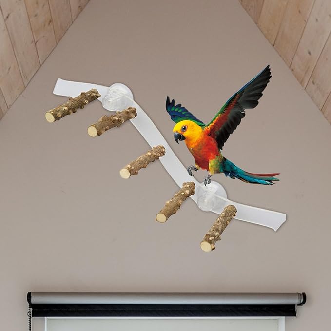 Suction Cup Wood Perch Toy, Wood Bird Perch Cage Accessories, Style C