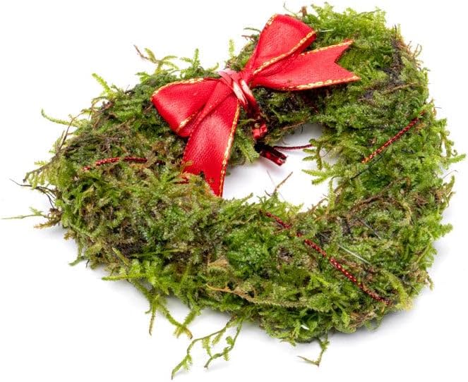 Live Aquarium Plants on Driftwood, Lava Rock, Moss, Fiber Mat - Freshwater Fish Tanks - Easy, Beginner Friendly (Heart Shaped Christmas Moss Wreath)