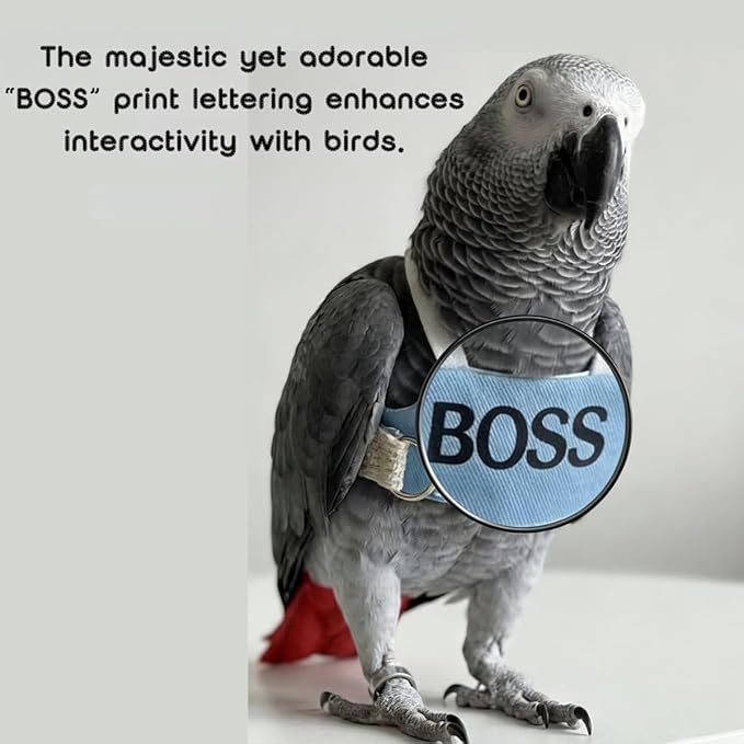 2 Pack Bird Flight Suit Vest, Adjustable Parrot Harness Clothes with Cute Design, Anti-Bite Outdoor Training Outfit for Parakeet, Cockatiel, Conure, Quaker, Budgie (M,Without Leash)