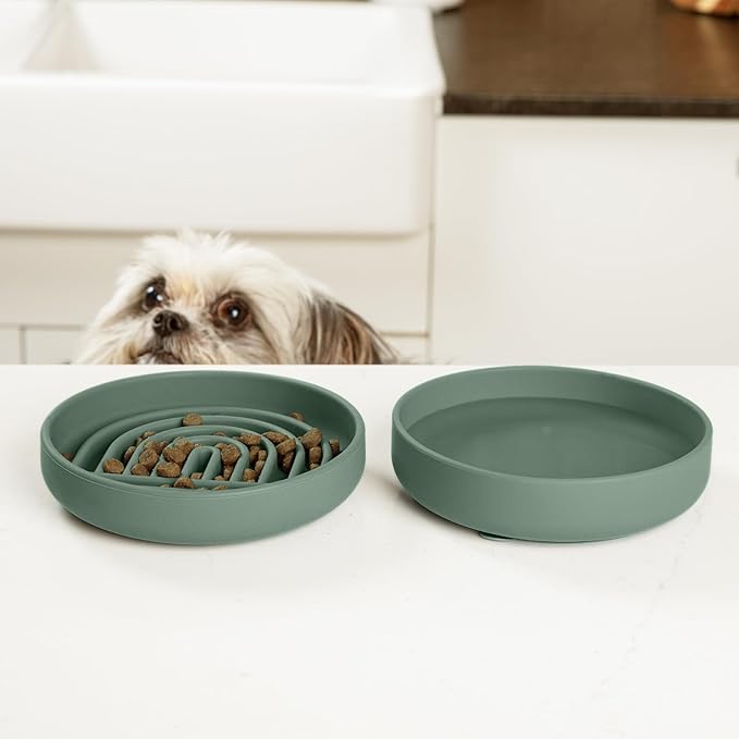 Should We Go? Slow Feeder for Dogs & Cats, The Slowdown Bowl Silicone Slow Eating Mealtime Solution with Modern Lick Mat Design, Reduces Gulping, Fits 1 Cup, 6” Across x 1.25” Tall, Small-Spruce