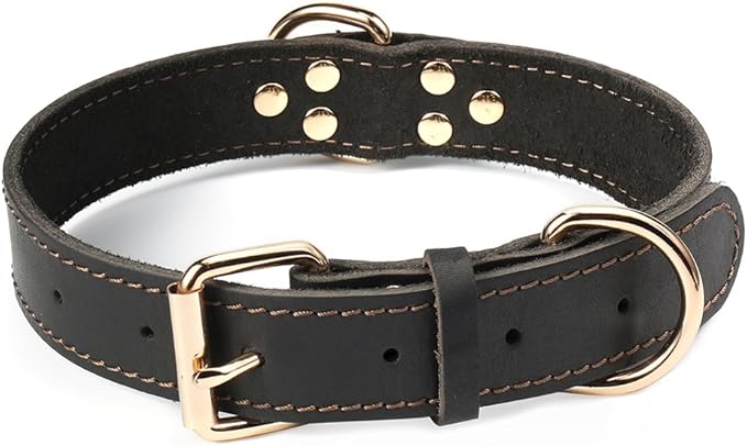 Leather Dog Collar, Heavy Duty, Wide, for Medium & Large Dogs, Single Stitch - Black