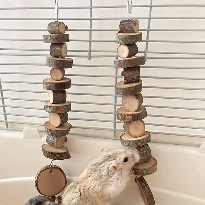 3pcs Small Animal Chews Toy,Natural Apple Wood,Block Cage Hanging Molars Treats Snack for Hamsters Rabbits Bird Chinchilla Squirrels for Halloween Holiday (Small Round Wood Model)