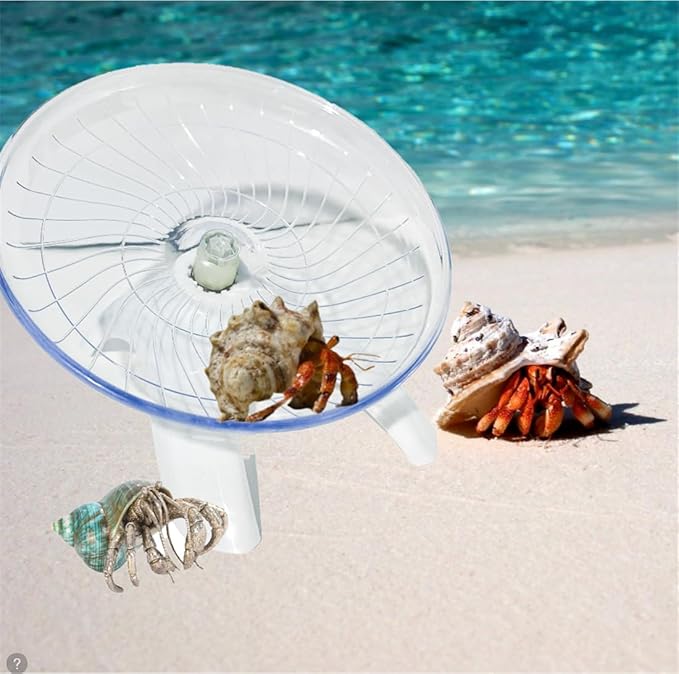 Funny Hermit Crab Running Wheel Climb Toy, Hamster Reptiles Running Flying Wheel Saucer, Cute Running Wheel for Guinea Pig Small Pet Animals Tree Frog Hamster Lizard Salamander Hermit Crab (White)