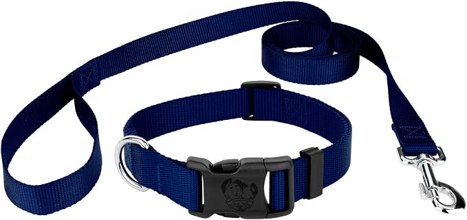 Country Brook Petz - Everyday Nylon Dog Collar and Leash - 10+ Cool Colors (3/4 Inch, Medium, Royal Blue)