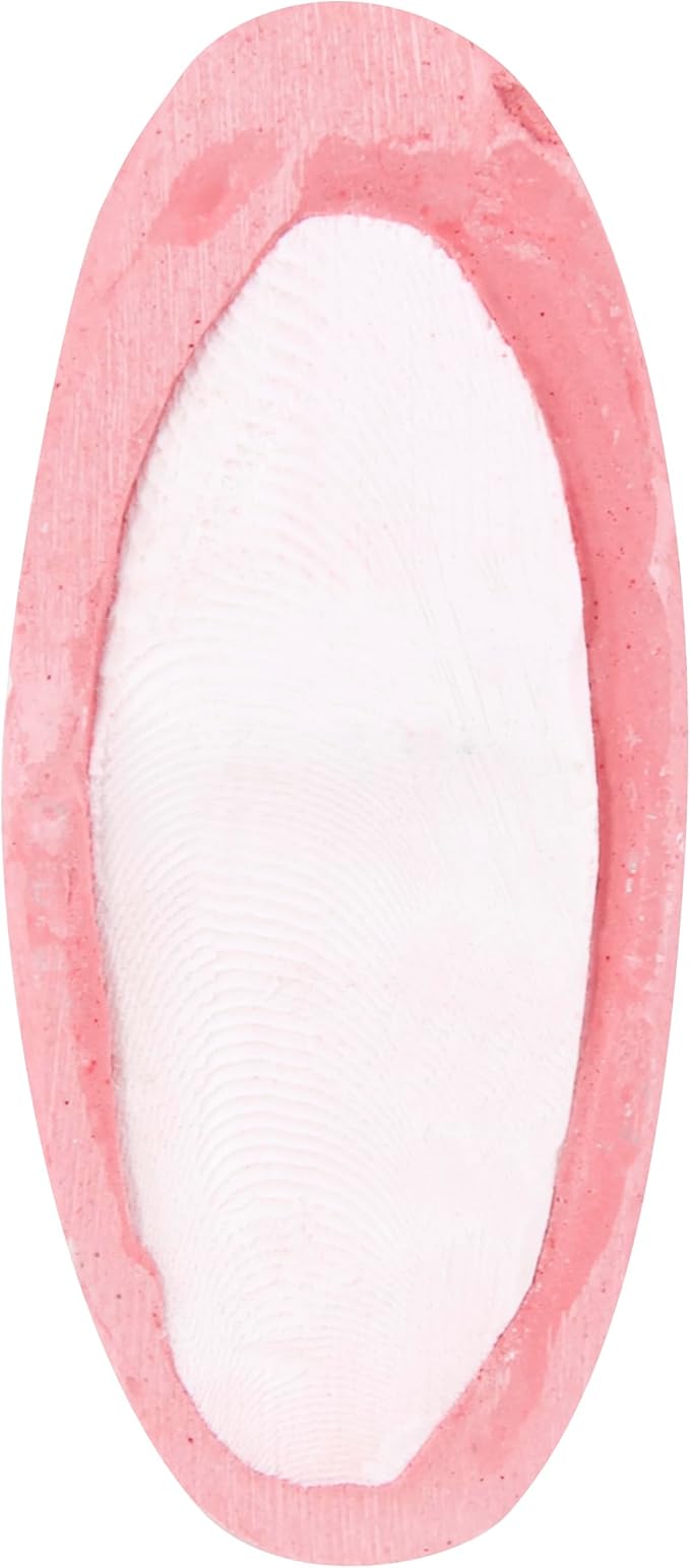 Penn-Plax Bird-Life 2-in-1 E-Cuttlebone & Mineral Block – Berry Flavor – Great for All Birds – 4 Pack