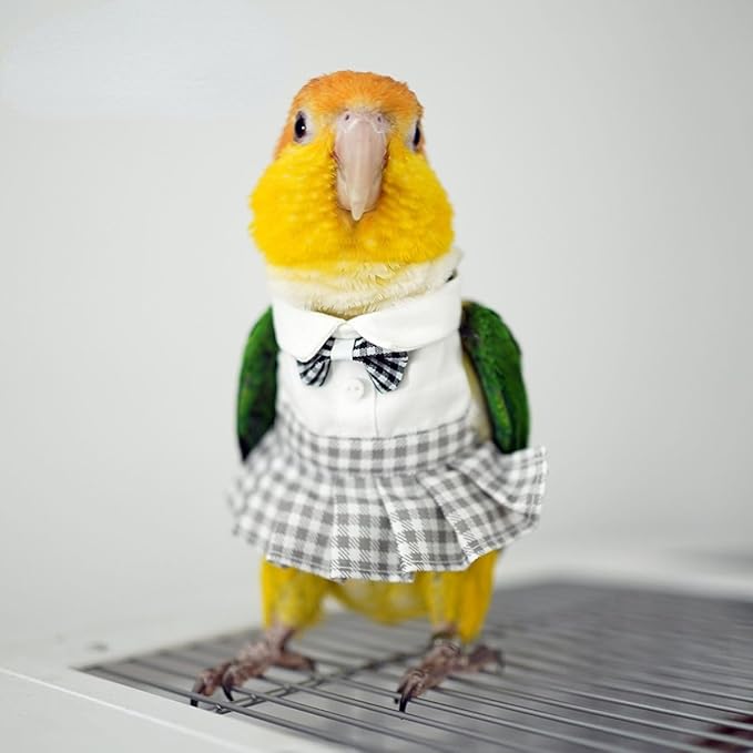 Bird Costume Bird Diaper Flight Suit Cute JK Dress Dress Skirt Clothes Cosplay Photo Prop for Parrots Macaw Cockatoo (Without Diaper,Macaw)
