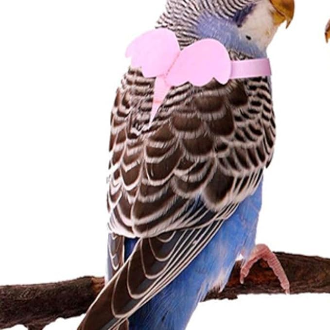 Pet Parrot Bird Harness and Leash, Adjustable Training Design Anti-Bite, Bird Nylon Rope with Cute Wing for Parrots, Suitable for Macaw Cockatoo Cockatiel Lovebird Conure African Grey (Pink,M)