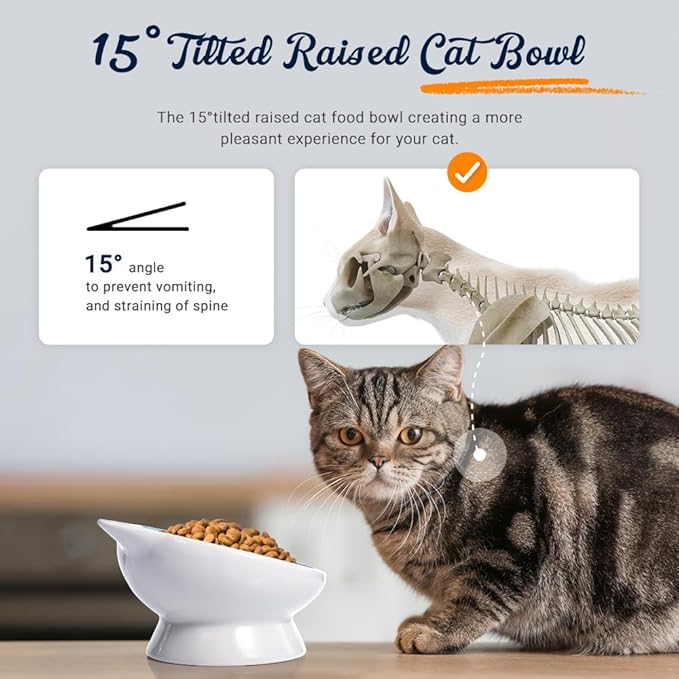 Raised Ceramic Cat Food Bowl - 15 Tilted, Spine Protection, Anti-Vomiting, Backflow Prevention for Adult Cats, Kittens, and Small Dogs (Blue Face)