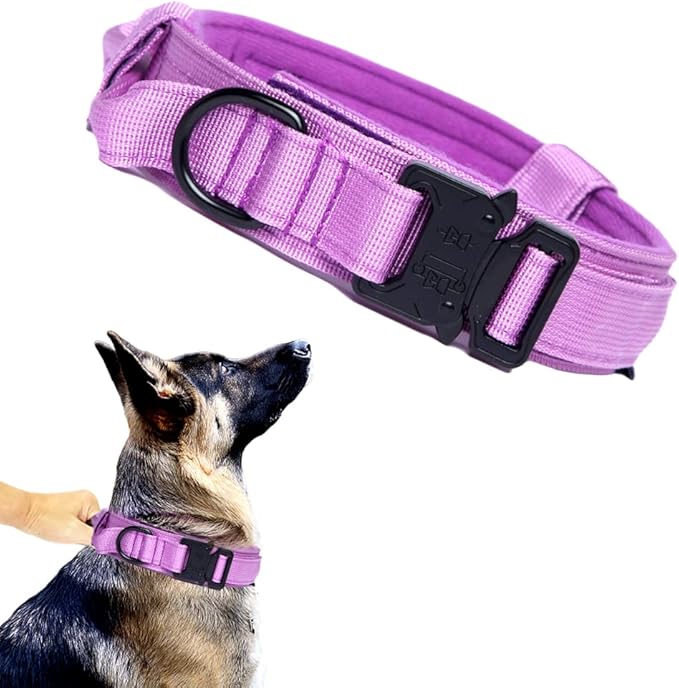 Xqpetlihai Tactical Dog Collar Adjustable Military Nylon Dog Collar with Control Handle and Heavy Duty Metal Buckle for Medium and Large Dogs(Purple,M)