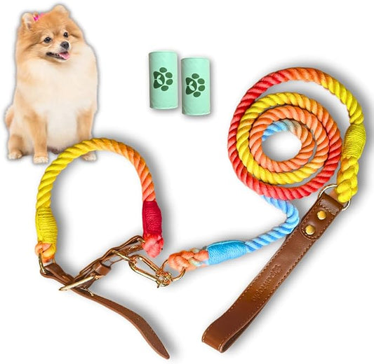 Pawtopia 5FT Dog Leash & Collar Set - Small Dogs, Cotton Braided Rope with Vegan Leather Handle (Brown) with Two Complimentary Rolls of Dog Poop Bags (30 Bags), Durable Clasp (Vivid Rainbow, Small)