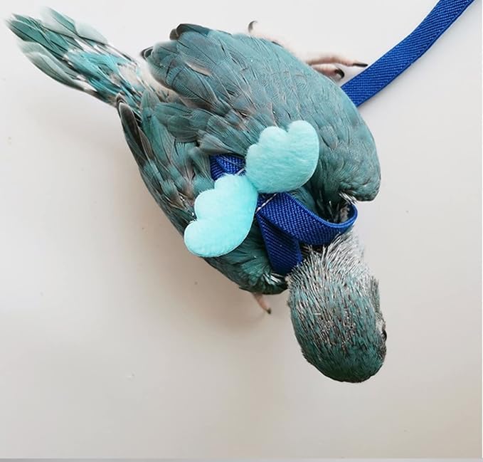 Pet Parrot Bird Harness Leash Adjustable Bird Flying Harness Traction Rope with Cute for Parrots Budgerigar Lovebird Cockatiel Mynah Outdoor Training Toy (Quaker/Sun Conure,Blue)