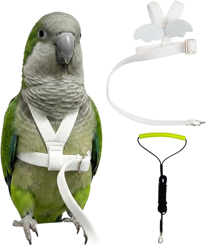 Adjustable Bird Harness with Elastic Leash, Pet Parrot Harness and Leash, Adjustable Training Design Anti-Bite, Bird Nylon Rope with Cute Wing for Conure (White,L)