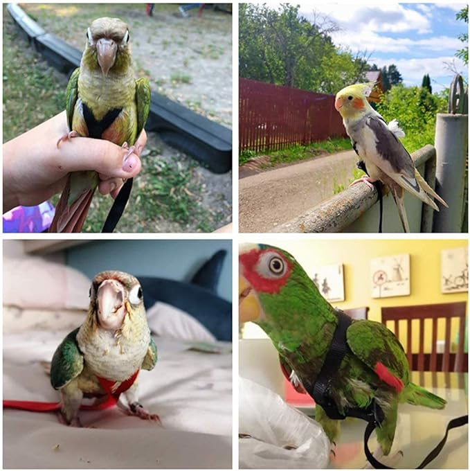 XISAOK Parrot Bird Harness Leash Supplies Adjustable Anti-Bite Training Rope Outdoor Activities Flying Traction Straps Band