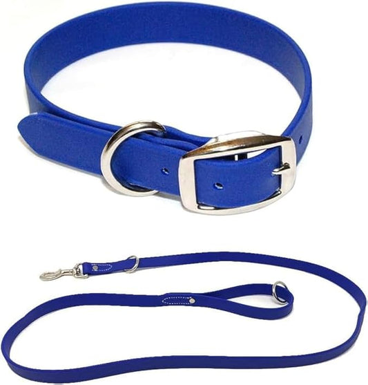 Regal Dog Products Small Blue Waterproof Dog Collar and Leash Set | Heavy Duty Double Buckle & D Ring - 5'ft Leash | Adjustable Biothane Dog Collar | Chew Resistant Waterproof Collar for Dogs