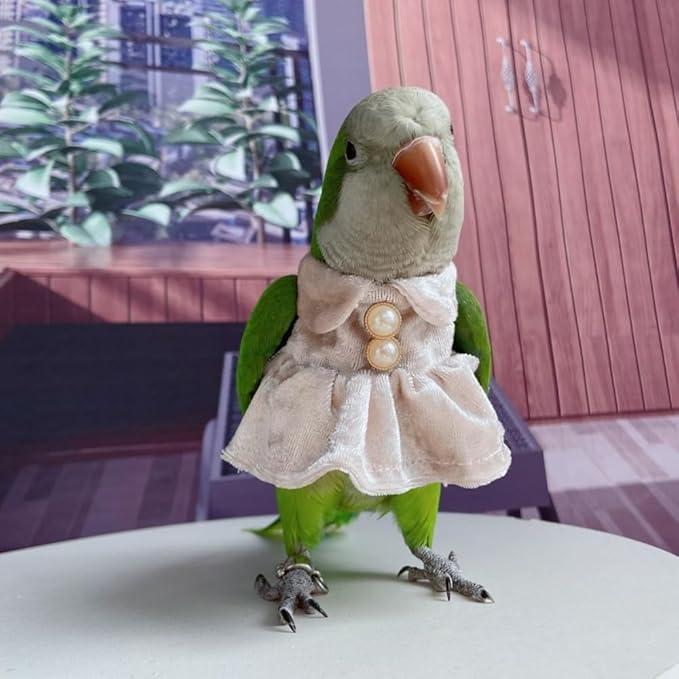 Bird Costume Bird Diaper Flight Suit Parrot Velvet Fleece Skirt Clothes Cosplay Photo Prop for Conure Lovebird Parakeet Cockatiel Macaw Small Animals Apparel (Pink,Medium)