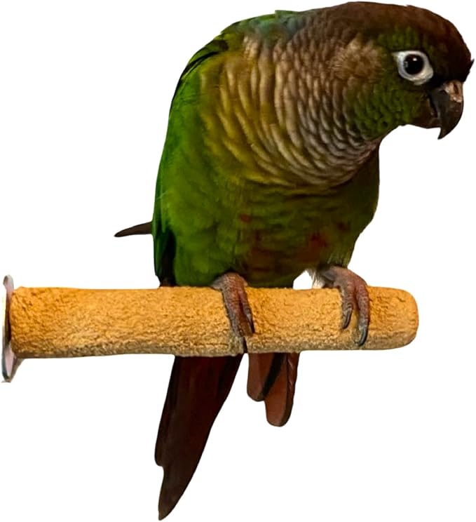 Polly's Pastels Nail Trimming & Beak Conditioning Safety Perch for Cockatiels, Cockatoos, Macaws, Parakeets, Budgies, Parrots and All Other Birds (Brown, Baby Medium-3/4 Dia. x 5