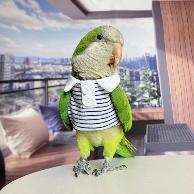 Bird Diaper Flight Suit for Parrots, Lovebirds, Parakeets & Cockatiels - Summer Clothes Cosplay Photo Prop - Green-cheeked Conure Size S (with Diaper)