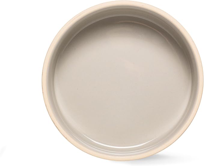 Fringe Studio "TREAT WORDS" Small Stoneware Pet Bowl, PetShop Collection (478104)