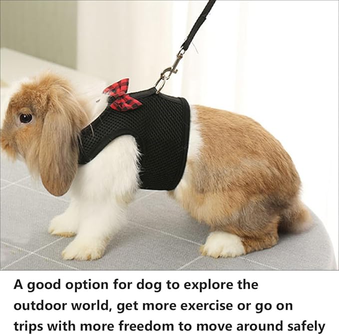 UPKOCH Pet Harness Set Mesh Vest Type Breathable Chest Strap Medium (30-34cm) for Small Animals Rabbit Guinea Pig Squirrel Walking Harness
