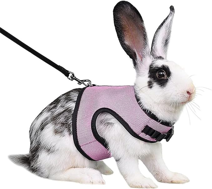 Rabbit Harness and Leash,Guinea Pig Escape Proof Bunny Harness and Leash Set, Cute Bunnies Vest Clothes Stuff Walking Ferret Kitten Puppy Small Pet Animals,Pink L