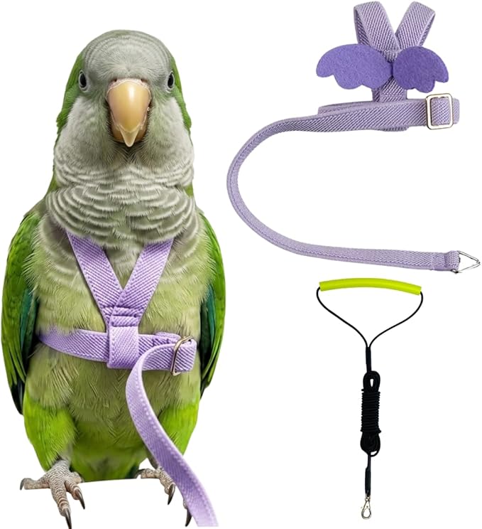 Adjustable Bird Harness with Elastic Leash, Pet Parrot Harness and Leash, Adjustable Training Design Anti-Bite, Bird Nylon Rope with Cute Wing for Conure (Purple,L)