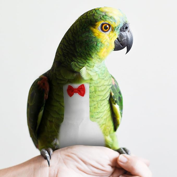 Generic Flight Bird Reusable Diaper Suit for Parrots Material Soft and Design for Outdoor Activities