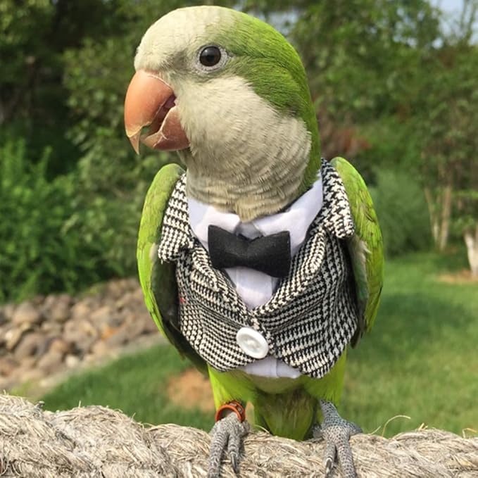 Bird Clothes Birds Flight Suit,Tuxedo Business Suit for Parrots African Greys Parakeet Cockatiel Sun Conure Christmas Party Birthday Cosplay Photo Prop Small Animals Apparel (XL,Grid Suit)