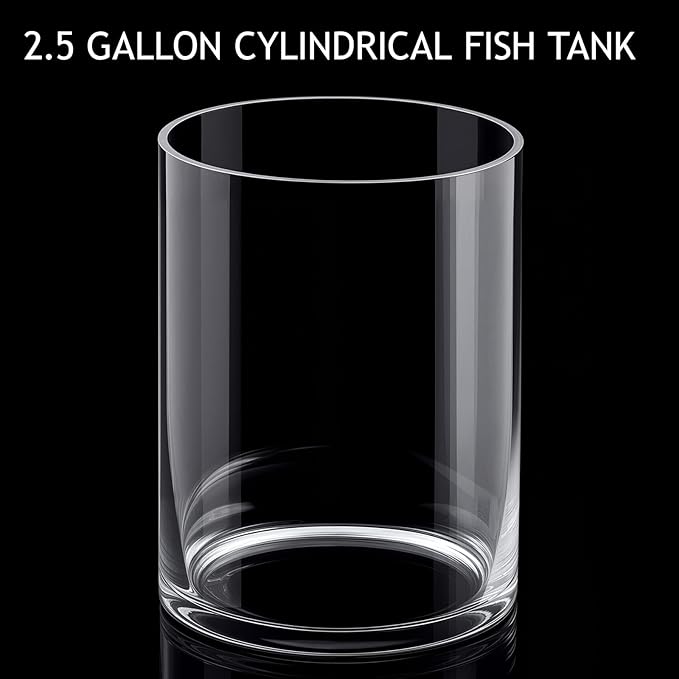 2.5 Gallon Cylindrical Glass Fish Tank Solid Base, 360° Full View Desktop Aquarium Starter, Easy to Maintain Small Microfauna for Betta Snails Shrimp Aquatic Planting and Small Plant Terrarium