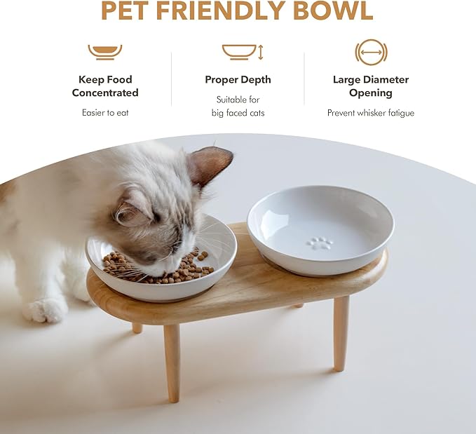 Havniva Elevated Cat Bowls, Ceramic Cat Food Bowl Whisker Friendly Cat Dishes, Kitten Food & Water Bowl with Two Heights Stand, Anti-Slip Raised Cat Food Plates