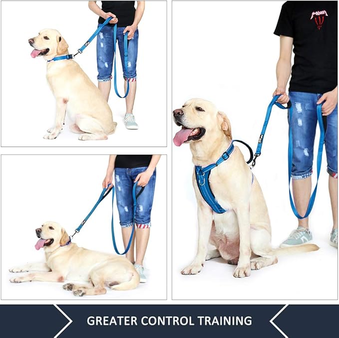 Plutus Pet Double Handle Dog Leash 4ft, Heavy Duty, Reflective Dual Handle Dog Leash for Safety Training, for Medium Large Dogs,2 Handle Leads(Blue)