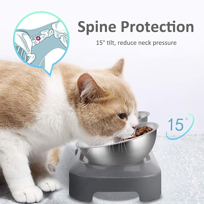 AYADA Raised Cat Food Bowl, Stainless Steel Cat Dish for Dry Wet Food Water, Anti Vomiting Elevated with Stand Ergonomic Lifted Slanted Tilted 15 Angle Metal Single Kitty Kitten Pet Bowl (Double)