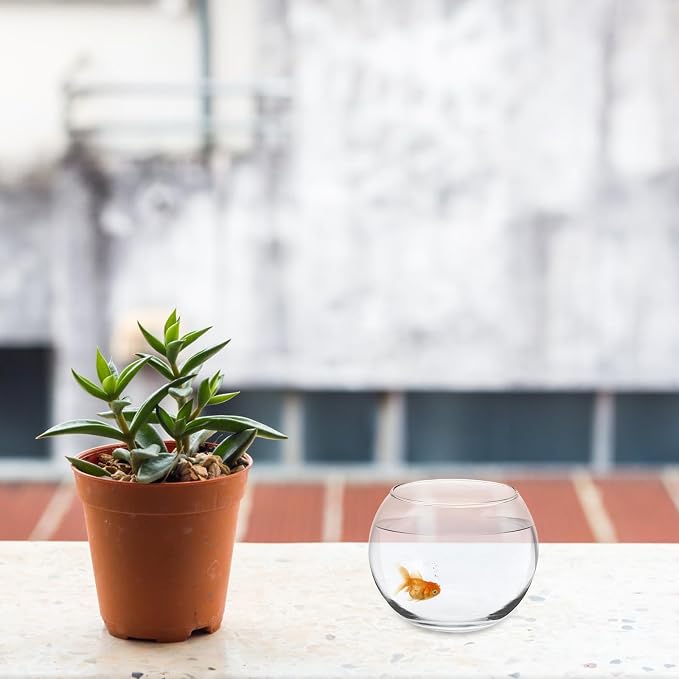 Baluue Round Glass Fish Bowl 4.72 X 3.54 in Clear Bubble Bowl for Fish Plants Flowers Shells and Crafts Desktop Decorative Vase Terrarium for Home Office Shelf