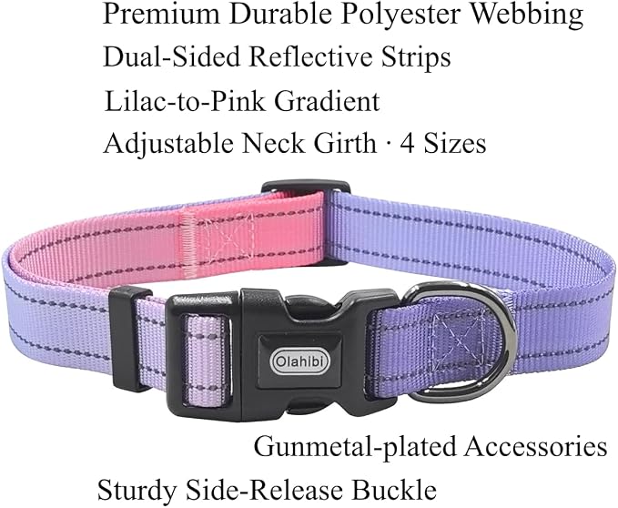Dog Collar Leash Set, Gradient Color, with Safety Reflective Strips, 5 ft Matching Leash, Neoprene Padded Handle, Adjustable 4 Sizes for Small Medium Large Dogs.(M, Lilac Pink)