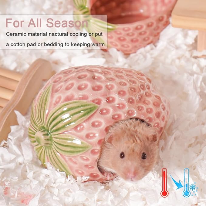 Ceramic Hamster Hideout, Strawberry Hamster House and Habitat, Syrian Hamster Hideout Decor Cool Bed for All Season Gerbil, Mice Guinea Pig