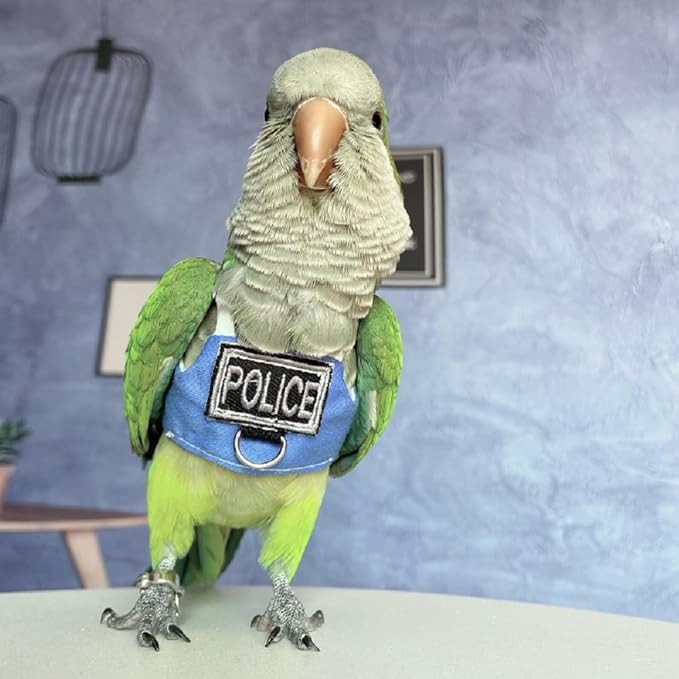 Bird Flight Harness Vest, Parrot Flight Suit with Leash, Bird Flying Clothes with Rope and Handle for Outdoor Activities (Without Leash,Cockatiel) (Without, S)