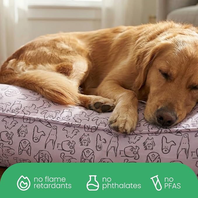 Molly Mutt Only You Dog Bed Duvet Cover, 100% Cotton Canvas Cover for Dog, Puppy, or Cat Bed, Durable, Washable, and Free of Harmful Chemicals, Small, 22"x27"x5"