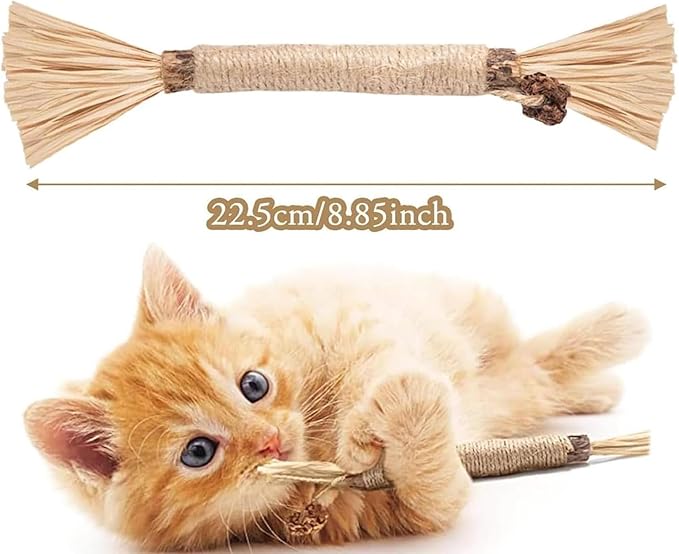 UBIETY Natural Silvervine Dental Sticks, silvervine Sticks for Cats，Natural Cat Chew Stick, Interactive Kitten Chew Playthings, for Indoor Kitty Nip Teeth Cleaning Dental Care Biting (10PCS)