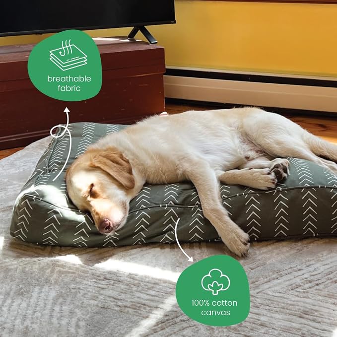 Molly Mutt Huge Dog Bed Cover - Forever Young Print - Measures 36”X45”X5”- 100% Cotton - Durable - Breathable - Sustainable - Machine Washable Dog Bed Cover (Dd82c)