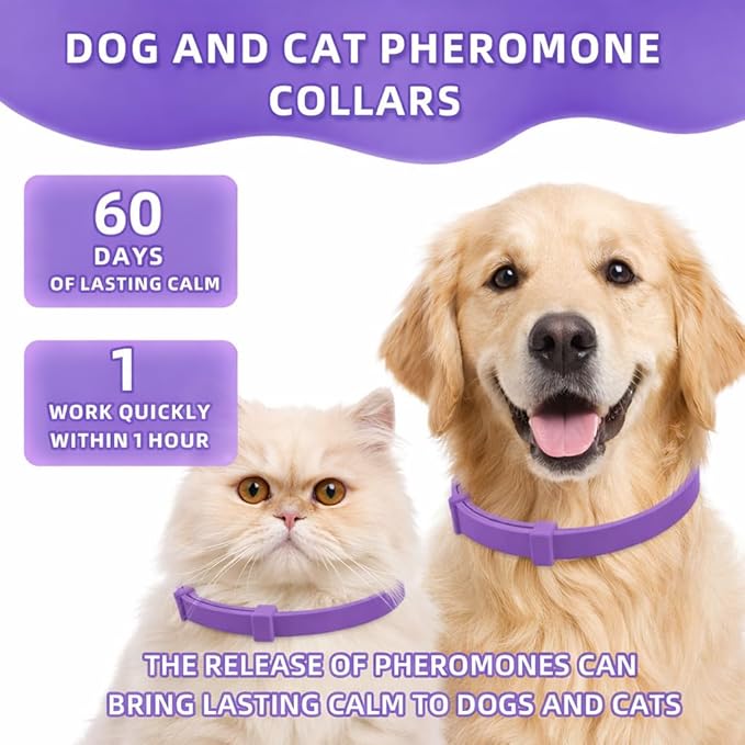 Calming Collar for Cats with Pheromone Technology, Waterproof, Lasts up to 4 Weeks, Fits Cats, Purple, 15 Inch Length