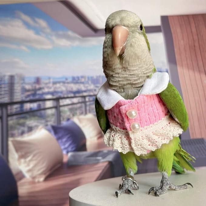 Bird Costume Bird Diaper Flight Suit Bird Pink Top Bird Clothes Cosplay Photo Prop for Parrots Lovebird Parakeet Cockatiel Small Animals Apparel (Caique)