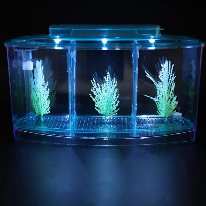 Aquarium Tank, Three Divisions LED Acrylic Fish Tank, Desktop Aquarium | Portable Fish Tank | Travel Fish Tank | Cool Fish Tank | Breeding Isolation Box Fishtank for Baby Fish