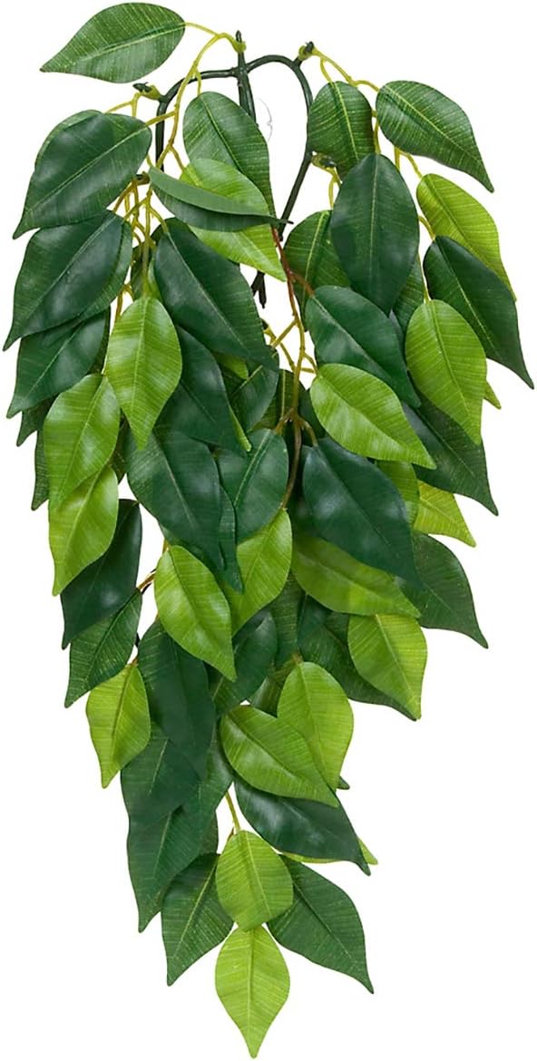Hagen Exo Terra Silk Terrarium Plant, Medium, Ficus