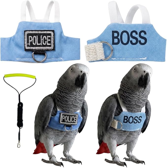 2 Pack Bird Flight Suit Vest, Adjustable Parrot Harness Clothes with Cute Design, Anti-Bite Outdoor Training Outfit for Parakeet, Cockatiel, Conure, Quaker, Budgie (XXL,with Leash)