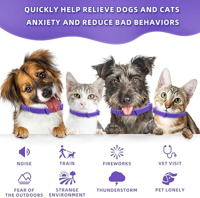 Calming Pheromone Collar for Cats, 4-Pack, Adjustable, Long-Lasting 60-Day Stress & Anxiety Relief, Noise Reduces & Anxiety Separation, Purple