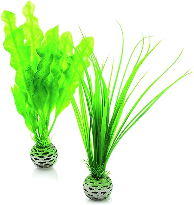 biOrb Easy Plant Pack, Small (Pack of 2)