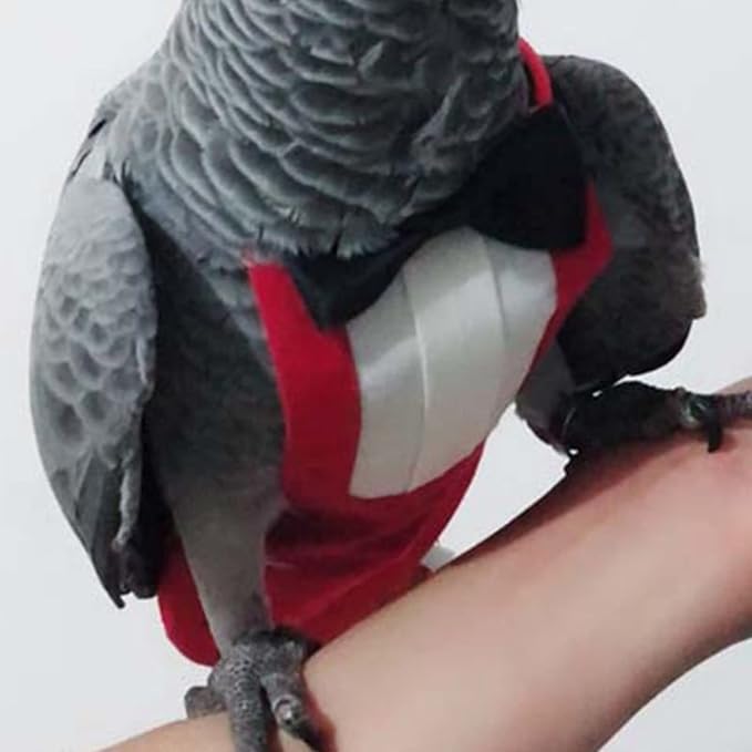Bird Flight Suits Diapers, Parrot Flight Suits Diapers for Monk Parakeets, Cockatiels Flight Suits, Parrot Clothes, Bird Training Nappy Suit Liners Clothes (Medium,Red)