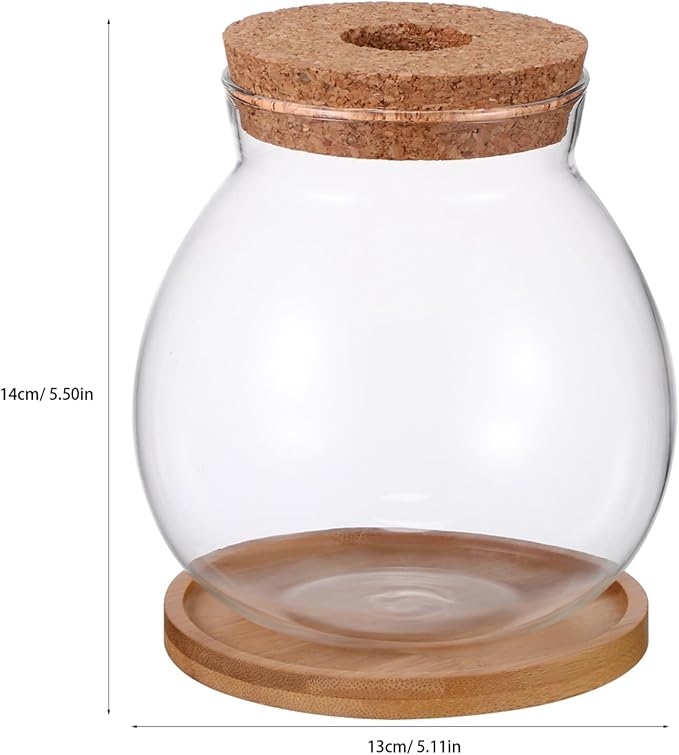 Beavorty Desktop Fish Tank Small Glass Fish Bowl with Cushion 5.51X5.11X1.18In Hydroponic Plant Terrarium Betta Bowl for Home Office Decoration