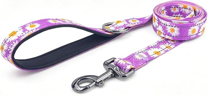 Dog Collar Leash Set, Floral Pattern, with Safety Reflective Strips, 5 ft Matching Leash, Neoprene Padded Handle, Adjustable 4 Sizes for Small Medium Large Dogs.(M, Purple Daisy)