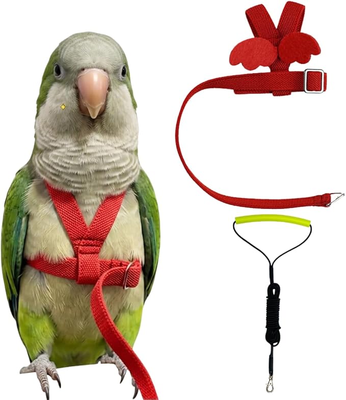 Adjustable Bird Harness with Elastic Leash, Pet Parrot Harness and Leash, Adjustable Training Design Anti-Bite, Bird Nylon Rope with Cute Wing for Conure (Red,L)