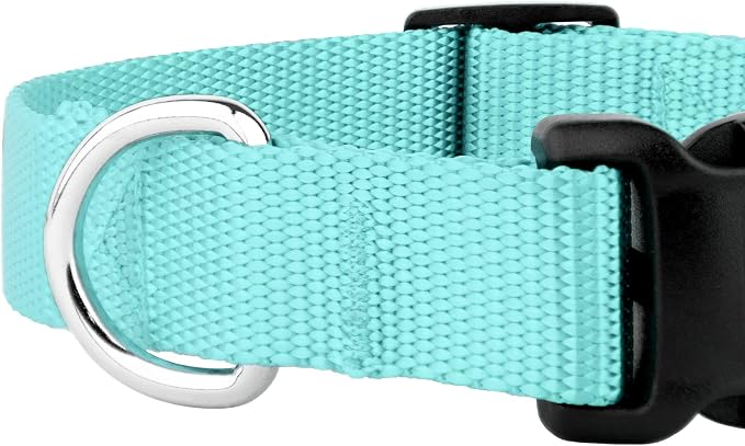 Country Brook Petz - Everyday Nylon Dog Collar and Leash - 10+ Cool Colors (1 Inch, Extra Large, Light Cyan)